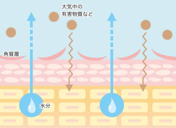 敏感肌