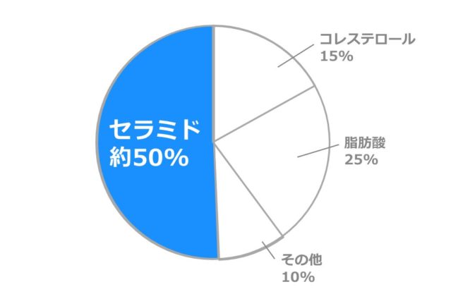 セラミド化粧品 敏感肌